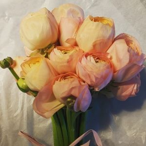 Meet your Posher, Irene